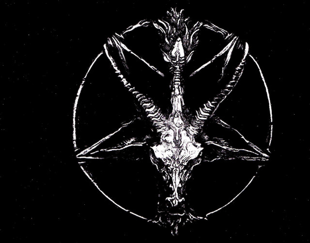 Bird black white pentagramus back free wallpaper - medium preview image