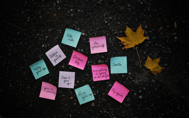 Sticky notes leaf ground group free wallpaper - medium preview image
