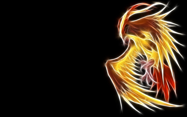 Red tail yellow wings black free wallpaper - medium preview image