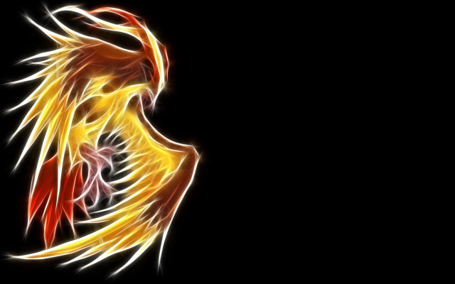 Yellow red bird feathers wings free wallpaper - medium preview image