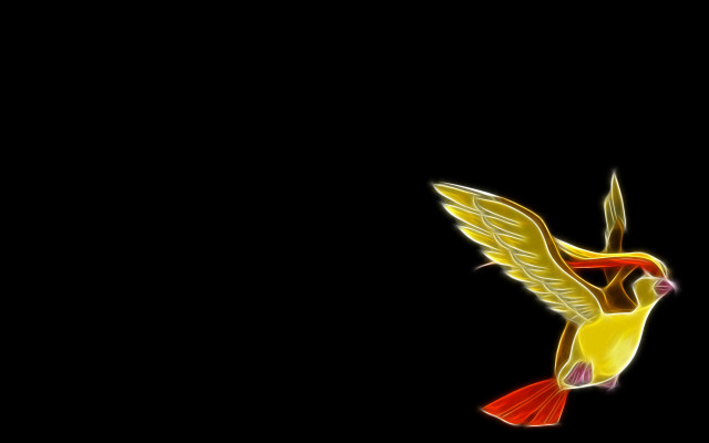 Bird flying wings spread red free wallpaper - medium preview image