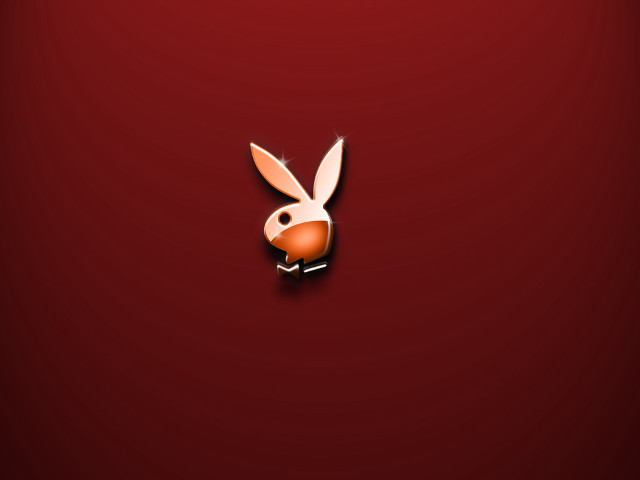 Rabbit red background white head #2 free wallpaper - medium preview image
