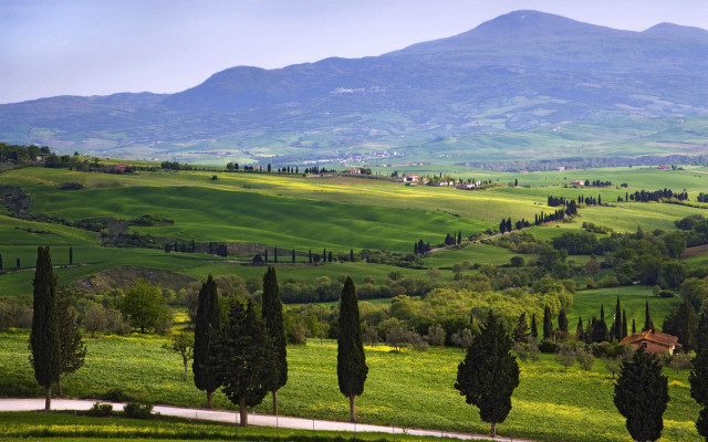 Scenic green valley trees mountains free wallpaper - medium preview image