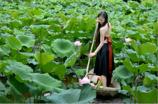 Woman black dress water lilies free wallpaper - medium preview image