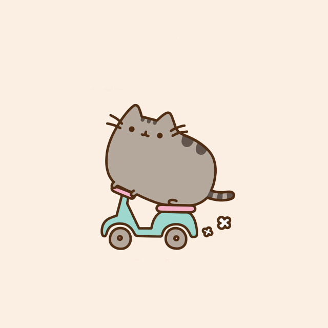 Cat riding scooter bone mouth free wallpaper - medium preview image