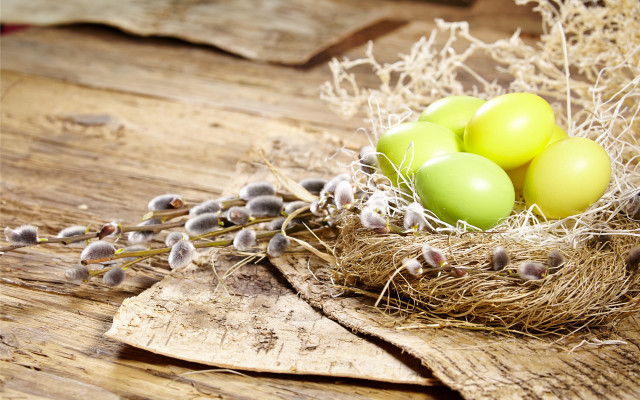 Nest eggs wooden table plant free wallpaper - medium preview image