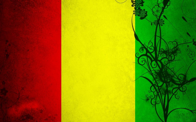 Colorful wall flower plant growing free wallpaper - medium preview image