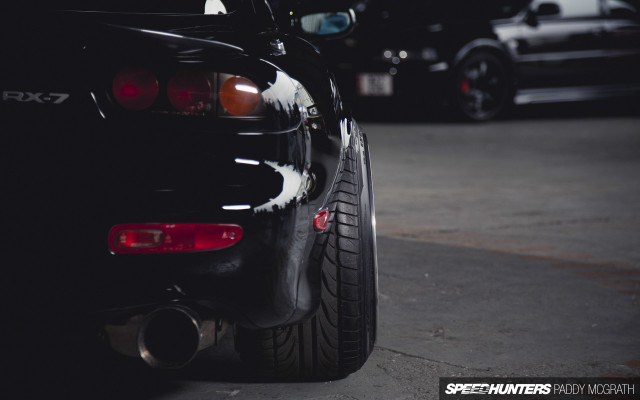 Black car white fur tail free wallpaper - medium preview image