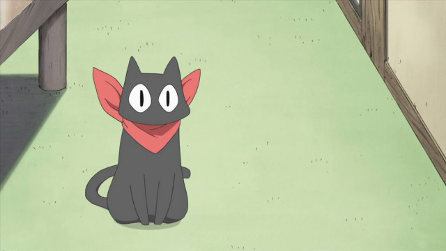 Black cat red collar wooden free wallpaper - medium preview image