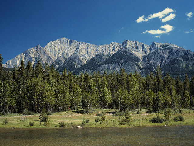 Mountain range river trees foreground #2 free wallpaper - medium preview image