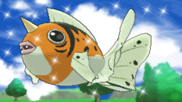 Goldfish white tail black eyes free wallpaper - medium preview image