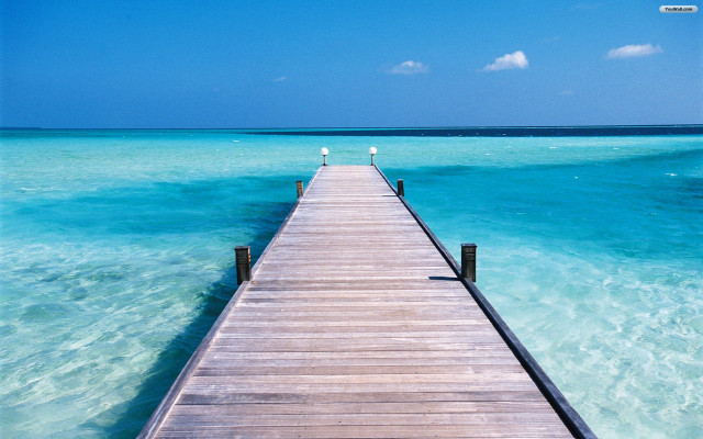 Pier ocean bird sitting water free wallpaper - medium preview image