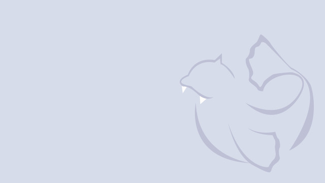 Bird flying light blue background free wallpaper - medium preview image