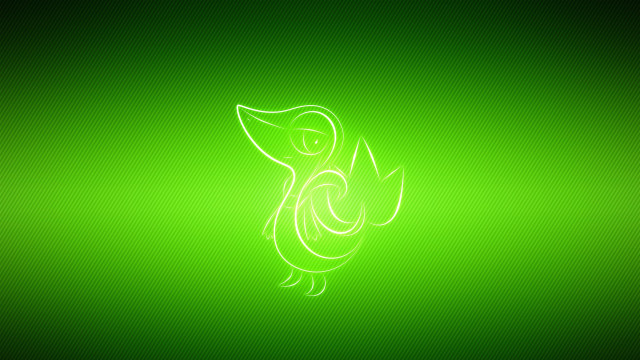 Green background bird back side free wallpaper - medium preview image