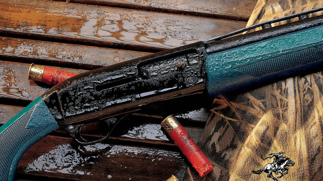 Gun hose wooden surface dog free wallpaper - medium preview image