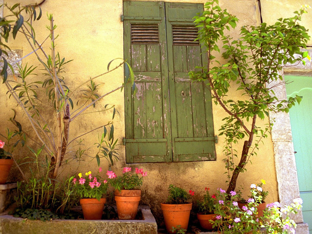 Green window shutter door plant free wallpaper - medium preview image
