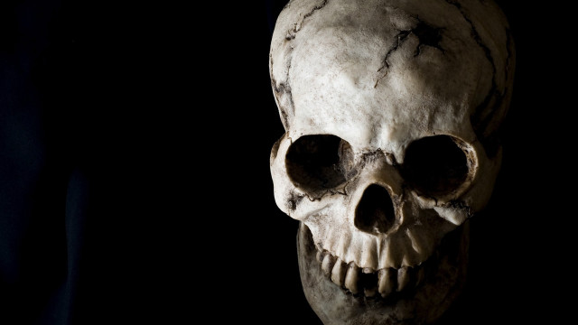 Skull black background white skull #2 free wallpaper - medium preview image