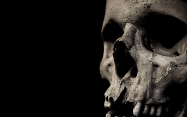 Skull tooth black background white free wallpaper - medium preview image