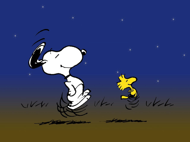 Snoopy chasing yellow duck night free wallpaper - medium preview image