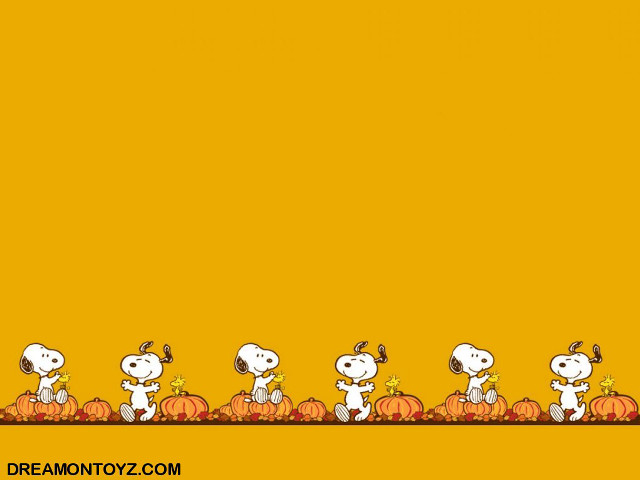 Charlie brown thanksgiving pumpkins peanuts free wallpaper - medium preview image