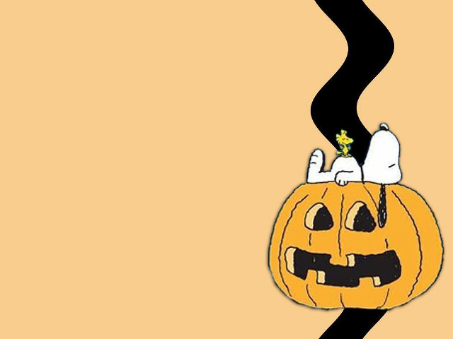 Cartoon pumpkin cat black stripe free wallpaper - medium preview image