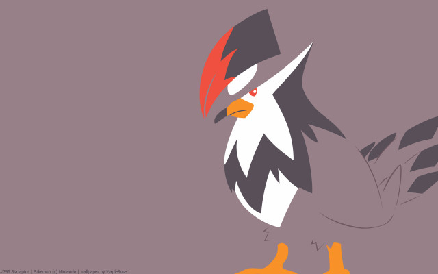 Red beaked black winged bird free wallpaper - medium preview image