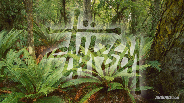 Forest tree sign forest arora free wallpaper - medium preview image