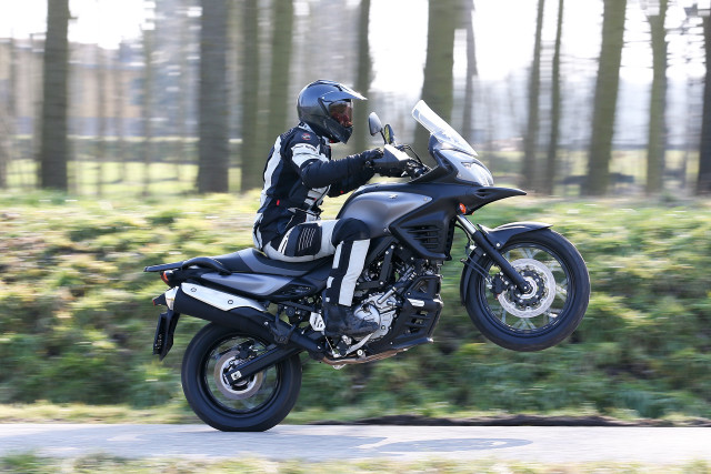 Man motorcycle road forest sunny free wallpaper - medium preview image