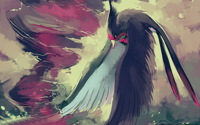 Bird red beak long wings free wallpaper - medium preview image