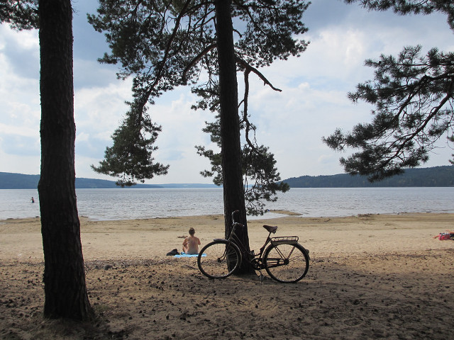 Bicycle parked tree beach ocean free wallpaper - medium preview image