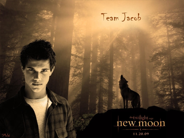 Man forest wolf back new free wallpaper - medium preview image