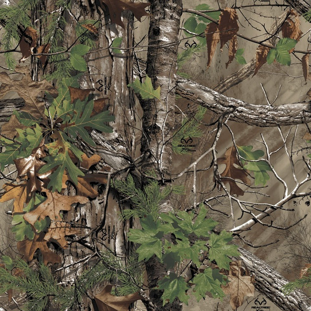 Camouflage background leaves branches nature #2 free wallpaper - medium preview image