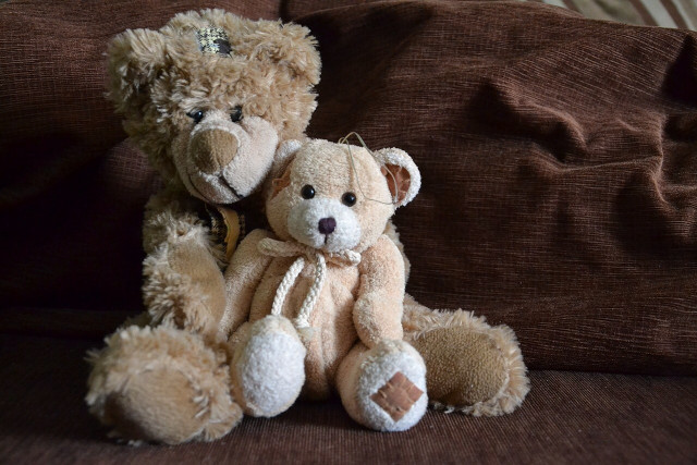 Teddy bears couch brown blanket free wallpaper - medium preview image
