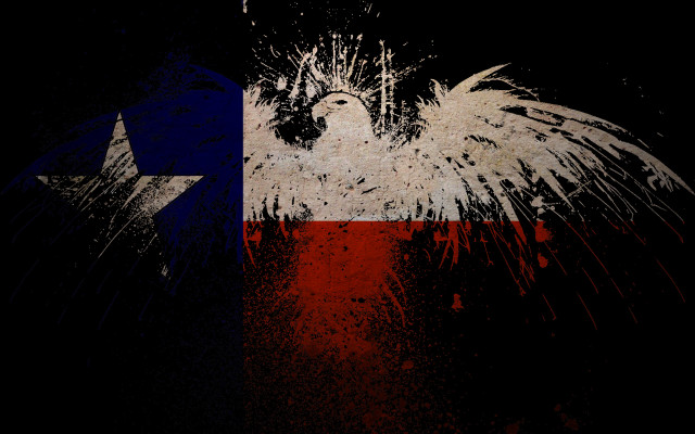 Bird texas flag star background free wallpaper - medium preview image