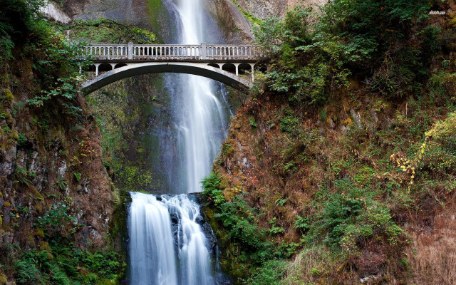 Bridge waterfall nature scenery trees free wallpaper - medium preview image