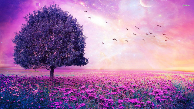 Tree flower purple sky stars free wallpaper - medium preview image