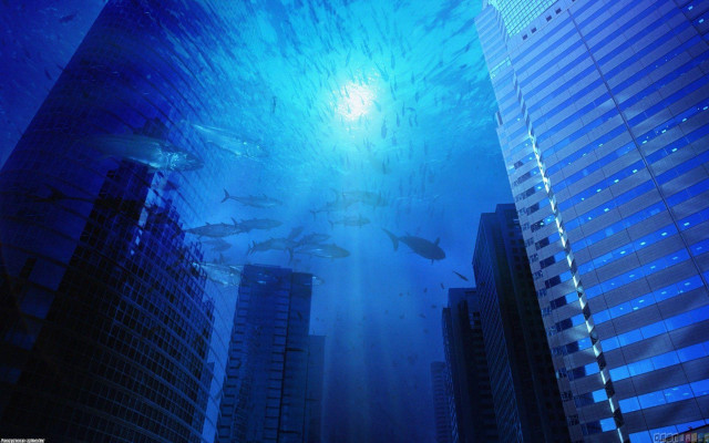 Fish swimming water city night free wallpaper - medium preview image