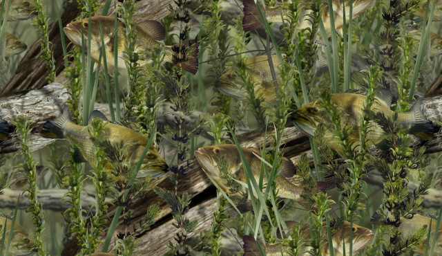 Bird sitting branch grass flowers free wallpaper - medium preview image