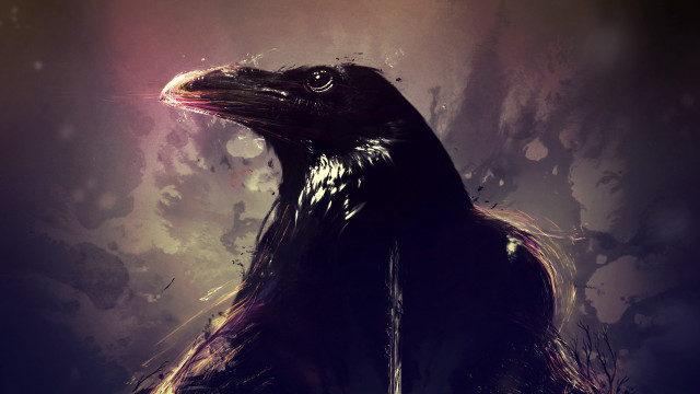 Long beak bird light head free wallpaper - medium preview image