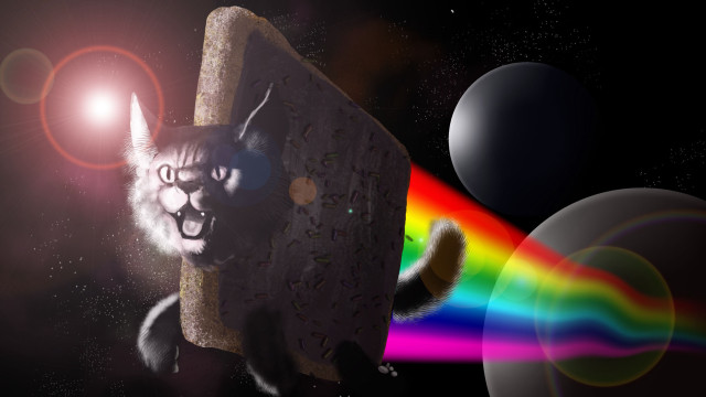 Cat rock rainbow light background #2 free wallpaper - medium preview image