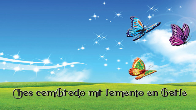Field butterflies sky message espanol free wallpaper - medium preview image