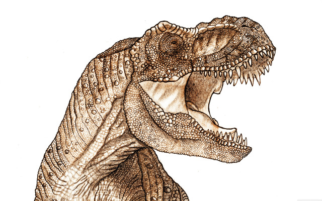 Dinosaur tshirt drawing large head free wallpaper - medium preview image