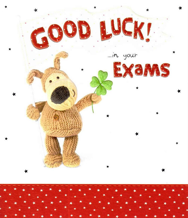 Stuffed animal shamrock good luck free wallpaper - medium preview image