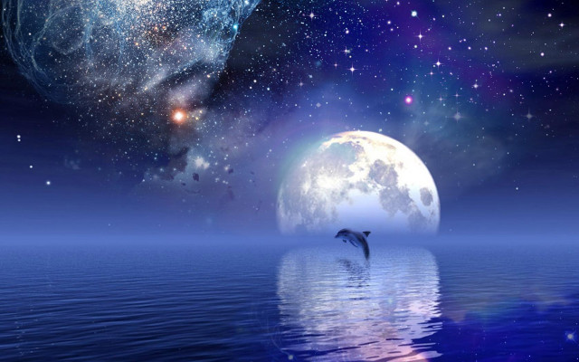 Dolphin jumping water full moon #2 free wallpaper - medium preview image