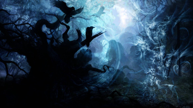 Forest bird flying tree bird free wallpaper - medium preview image