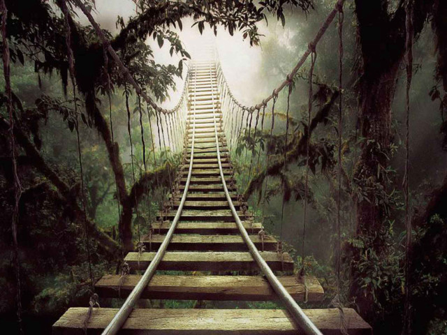 Wooden bridge ladder jungle fog free wallpaper - medium preview image
