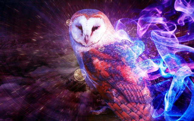 Colorful owl clock blue flame free wallpaper - medium preview image