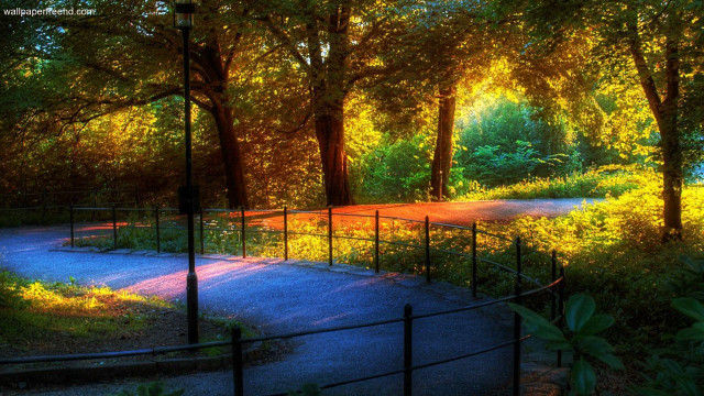 Park path trees fence sunset free wallpaper - medium preview image