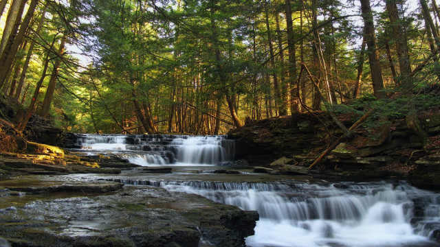 Waterfall forest trees rocks water free wallpaper - medium preview image