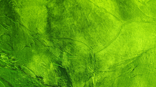 Green leafy pattern small bird free wallpaper - medium preview image